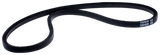 RIEM