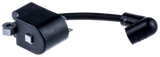 MODULE