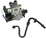 CARBURETTOR KIT