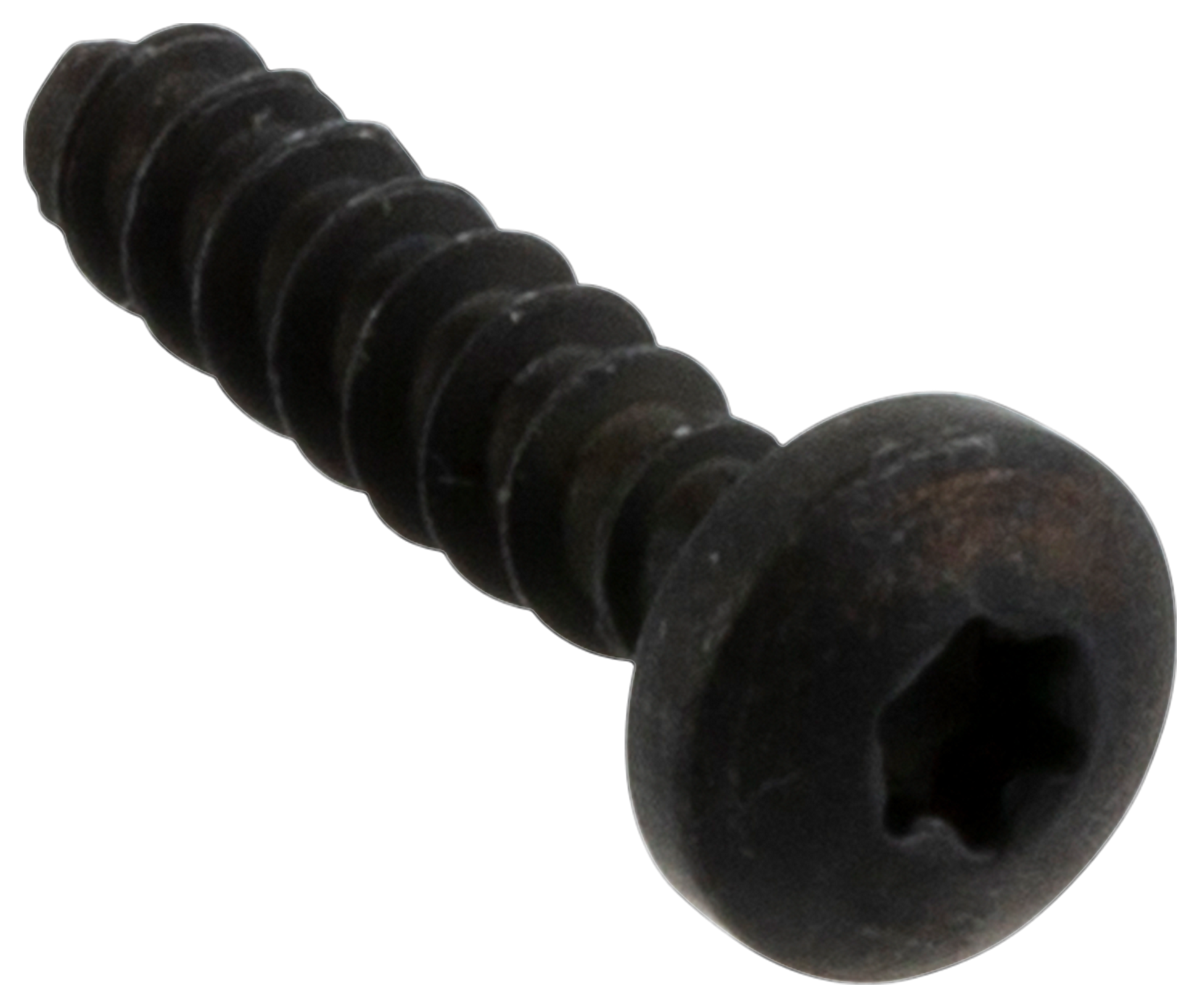 SCHROEF ITXPANT
