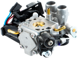CARBURETTOR KIT