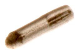 KERFSTIFT
