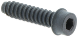 SCHROEF IHSCT