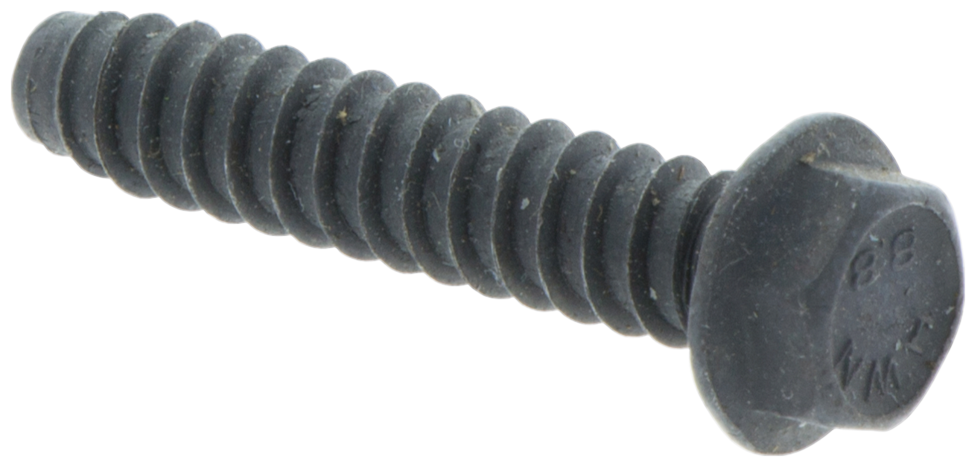 SCHROEF IHSCT