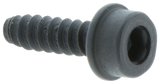 SCHROEF IHSCT
