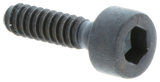 SCHROEF IHSCT