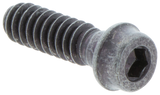SCHROEF IHSCT