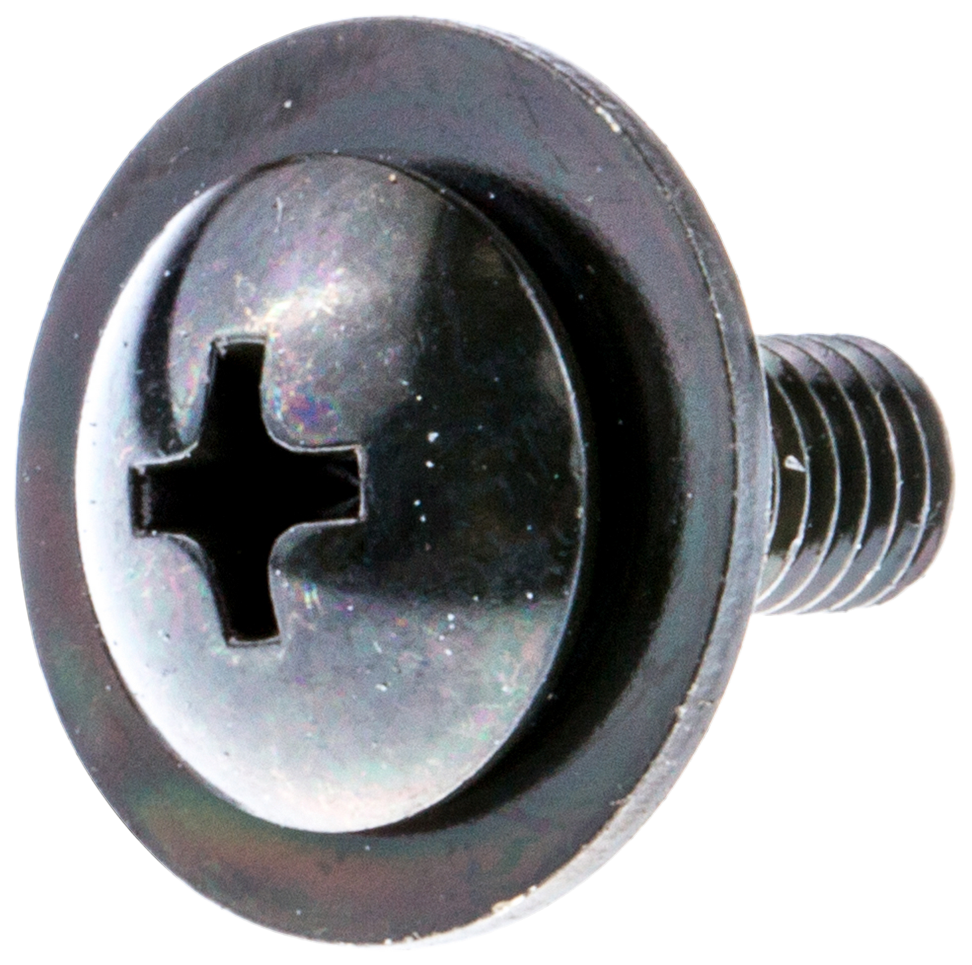 SCREW