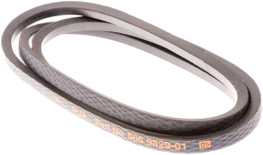 RIEM