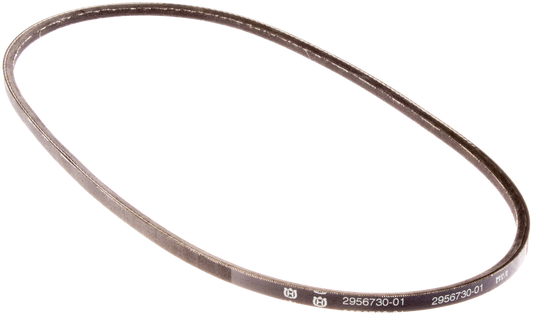 RIEM