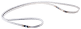 RIEM