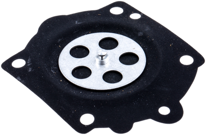 DIAPHRAGM ASSY