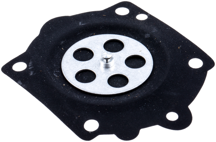 DIAPHRAGM ASSY