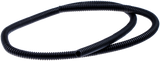 PIJP