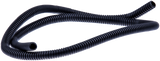 PIJP