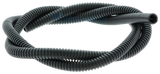 PIJP