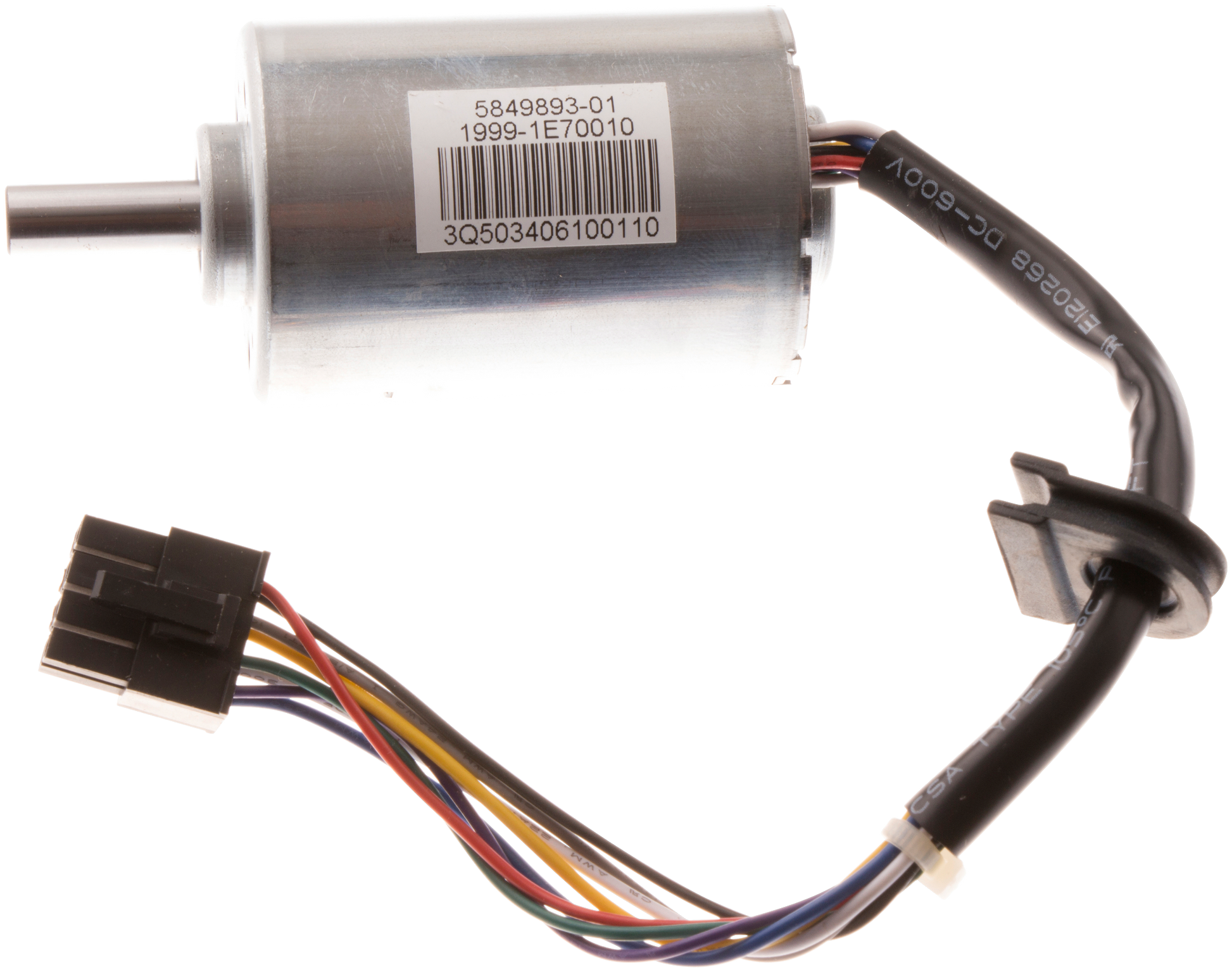 MOTOR