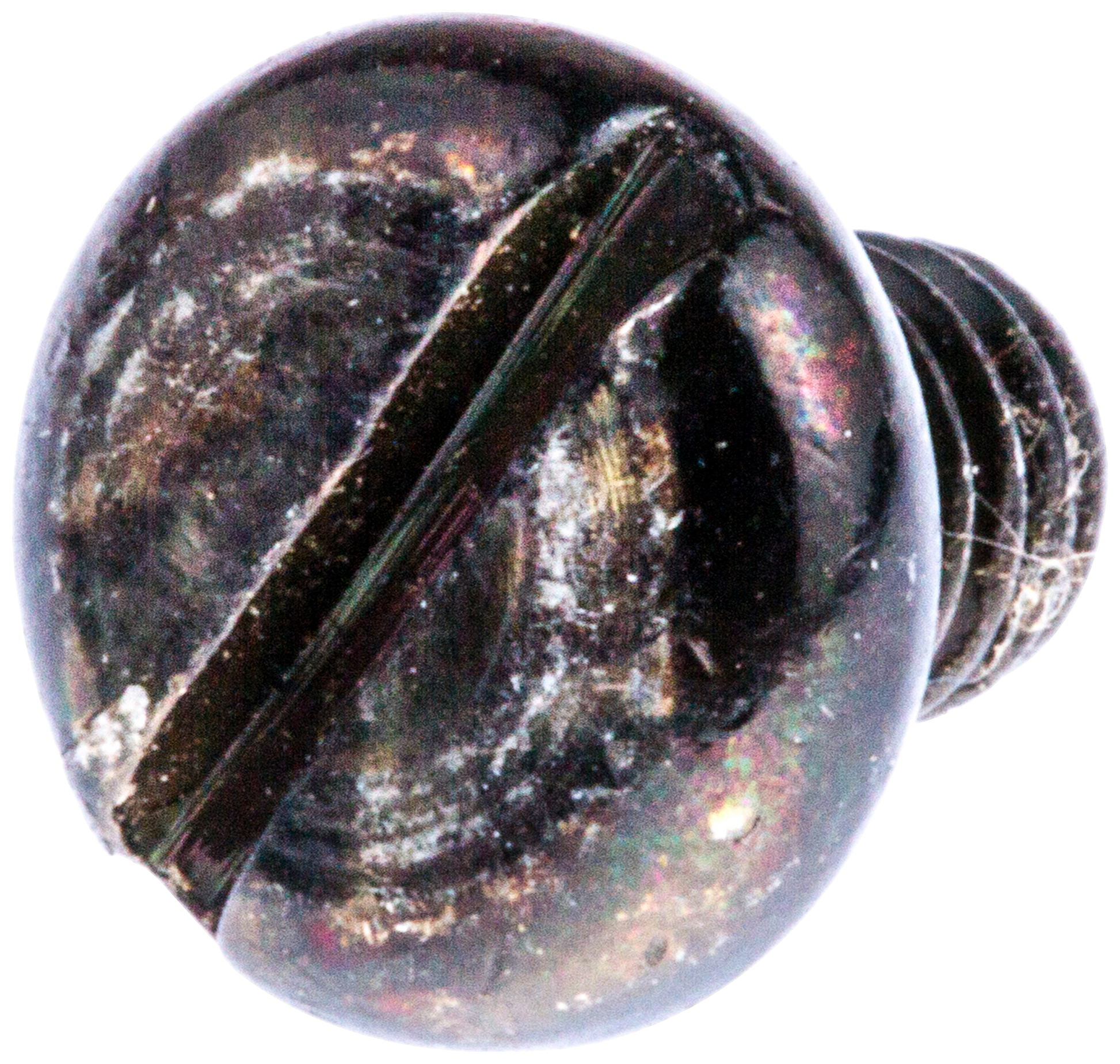 SCHROEF SLPANM