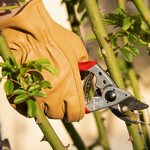 Felco 703 Werkhandschoenen