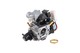 CARBURETTOR KIT