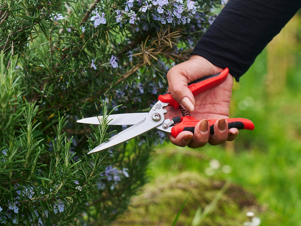 Felco 456 Multifunctionele Schaar