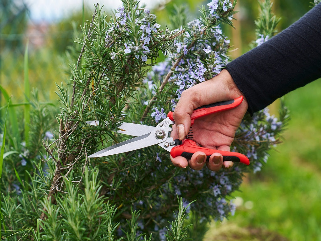 Felco 456 Multifunctionele Schaar
