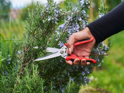 Felco 456 Multifunctionele Schaar