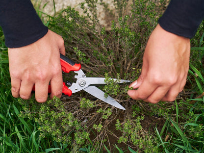 Felco 456 Multifunctionele Schaar