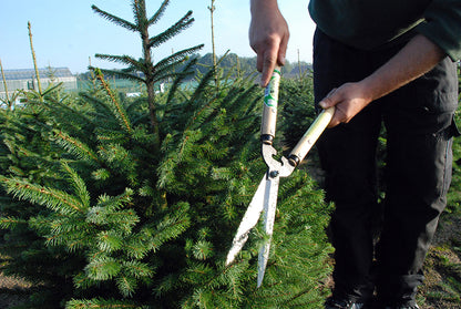 Okatsune heggenschaar 231 57 cm, blad 20 cm, houten grepen-keizers.nu