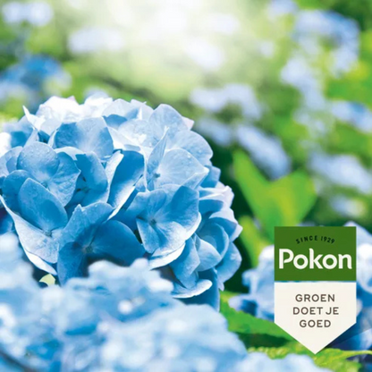 Pokon Hortensia Blauwmaker - 500 gram