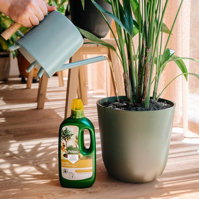 Pokon Kamerplanten Voeding - 1 liter