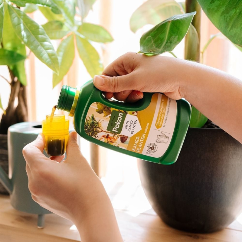 Pokon Kamerplanten Voeding - 500 ml