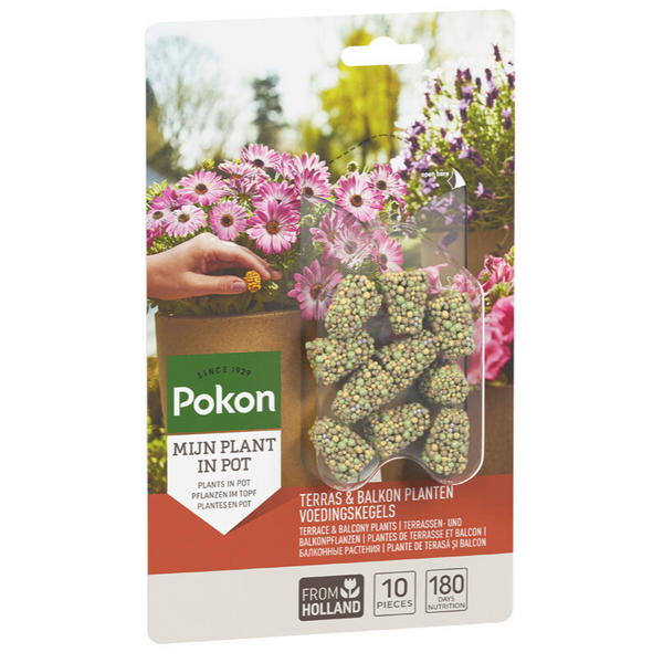 Pokon Terras & Balkon Planten Voedingskegels - 10 stuks