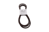 RIEM