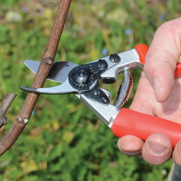 Felco 12 Snoeischaar - keizers.nu