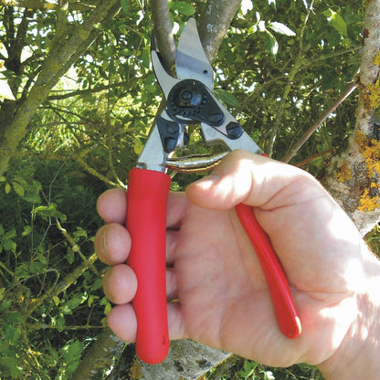 Felco 12 Snoeischaar - keizers.nu