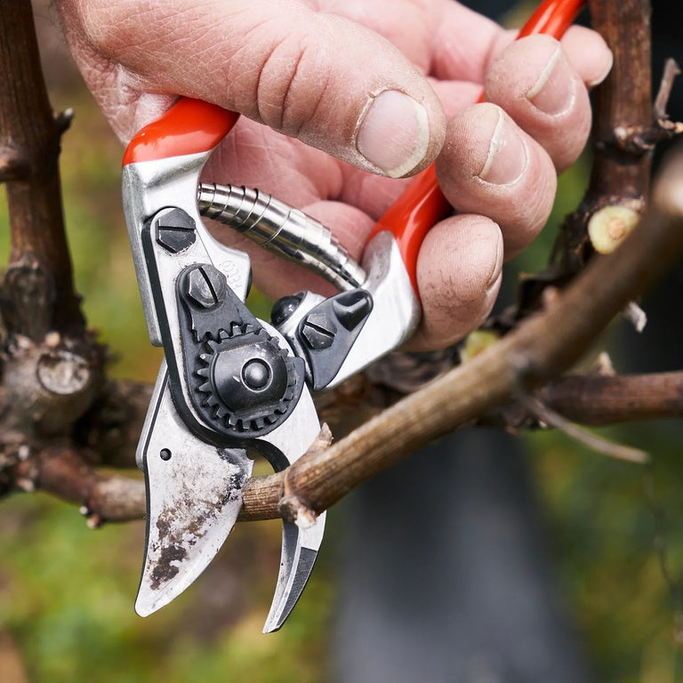 Felco 14 Snoeischaar - keizers.nu