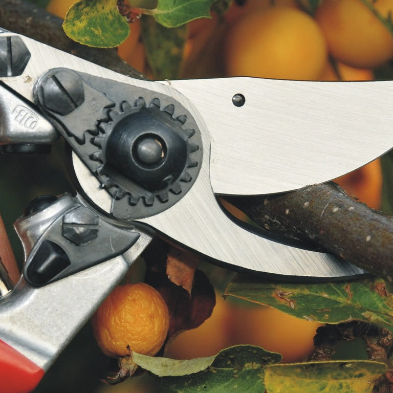 Felco 9 Linkshandige Snoeischaar - keizers.nu