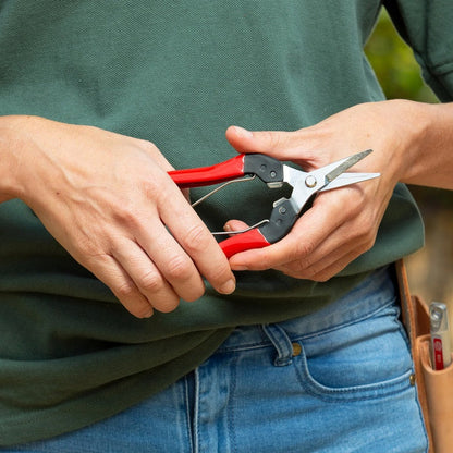 Felco 321 oogstschaar - keizers.nu