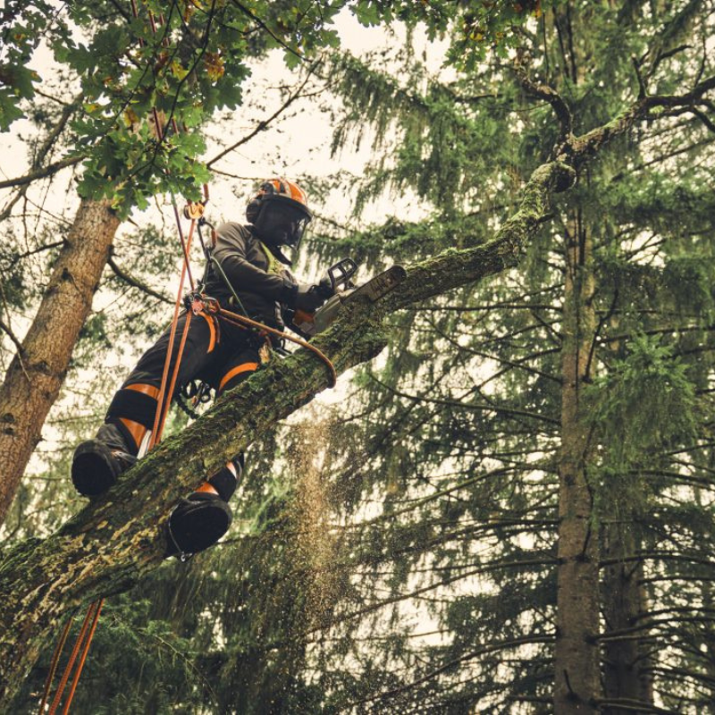 Stihl MSA 220.1 TC-O Accu Kettingzaag Body