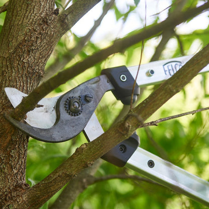 Felco 211-60 Takkenschaar - keizers.nu