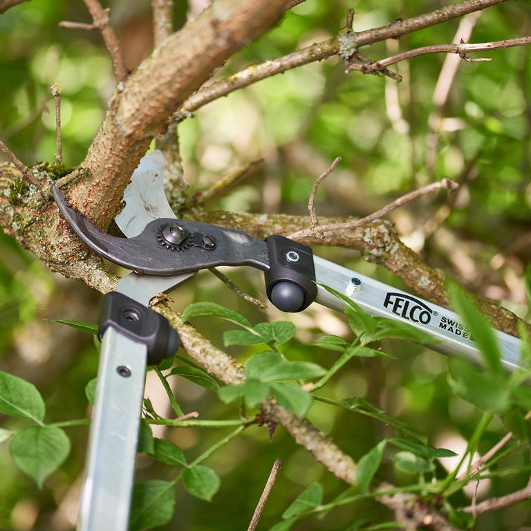 Felco 211-60 Takkenschaar - keizers.nu