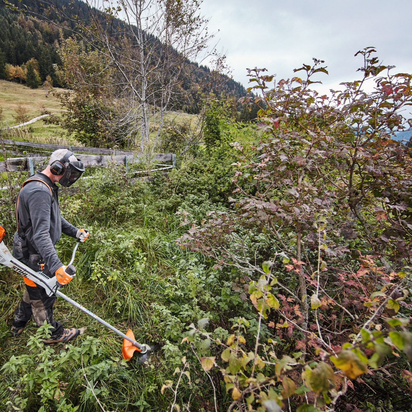 STIHL bosmaaier keizers.nu