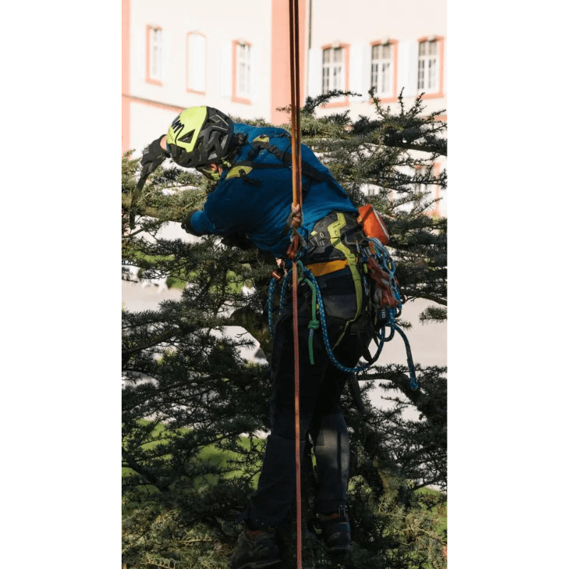 Edelrid TreeRex Klimgordel - keizers.nu