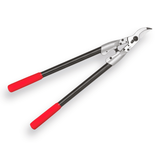 Felco 210C-60 Takkenschaar - keizers.nu