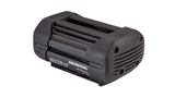 Honda Accu 36 V - 4.0 Ah - keizers.nu