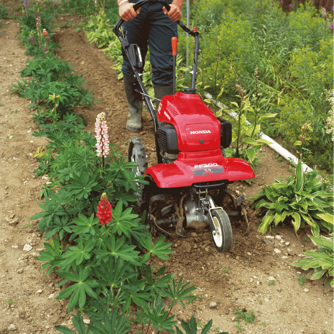 Honda FF 300 Benzine Tuinfrees - keizers.nu