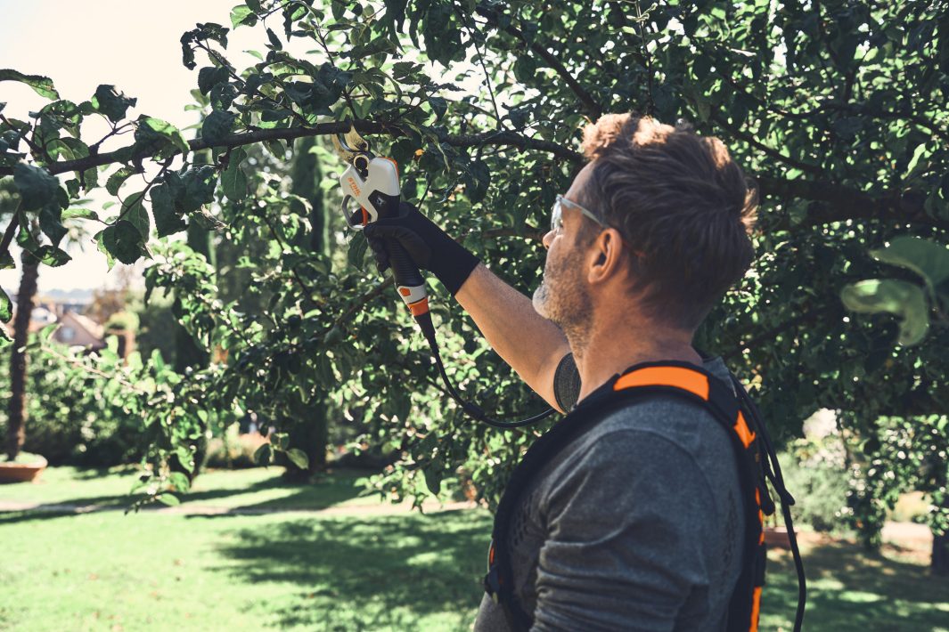STIHL ASA 140 Accu Takkenschaar Body