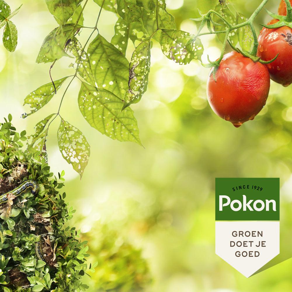 Pokon Bio Kuur voor Weerbare en Gezonde Planten - keizers.nu