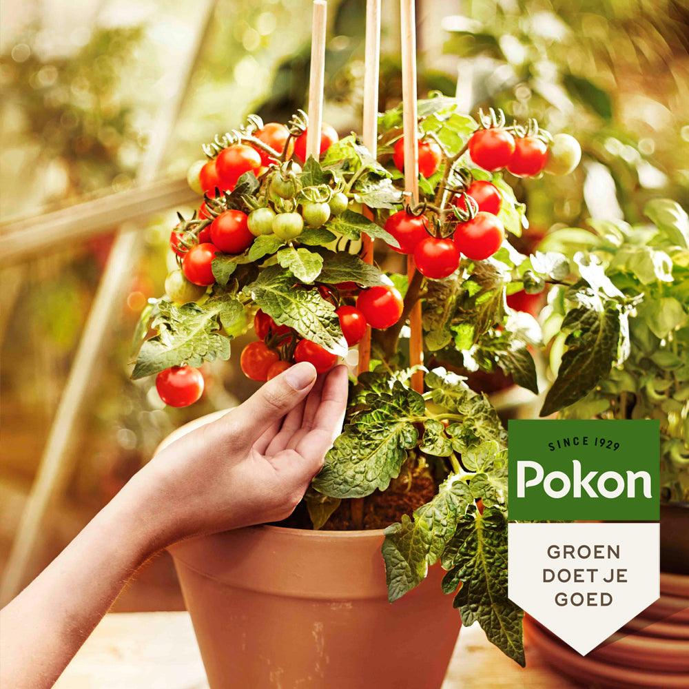 Pokon Bio Moestuin Mest - keizers.nu